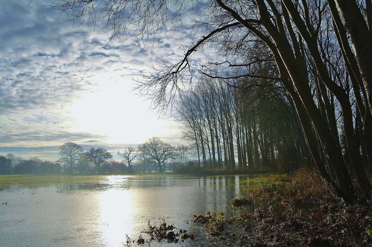 How to Protect Your Home from Flooding